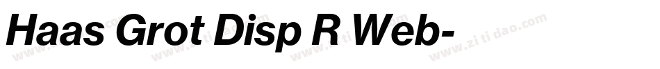Haas Grot Disp R Web字体转换